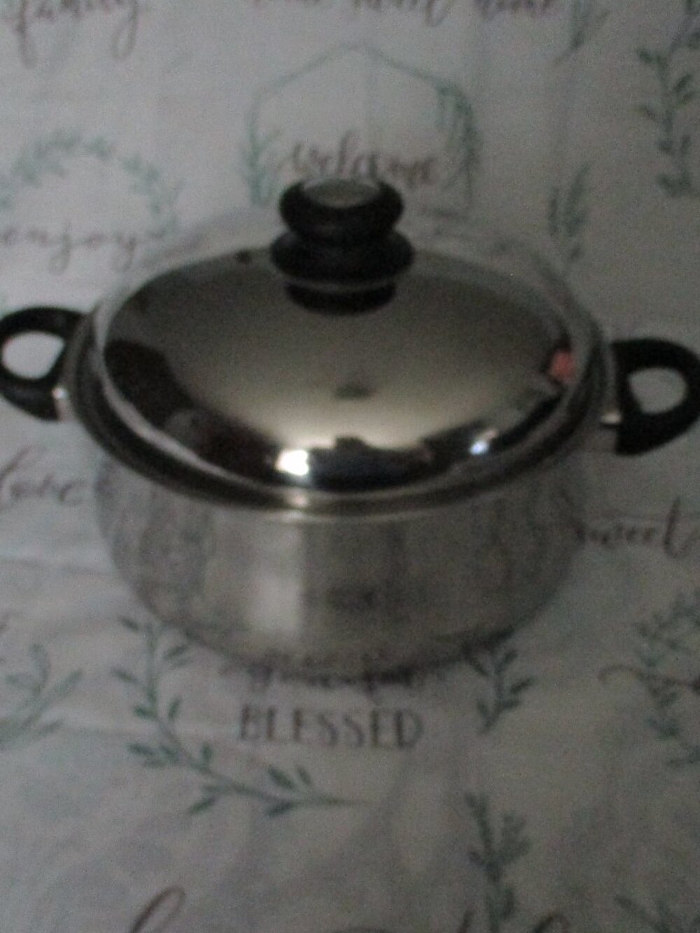 *Lynns Edelstah Rostfrei Cook 5 qt dutch Pot